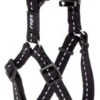 Rogz For Dogs Nitelife Step-in Hondentuig Verstelbaar Zwart 38 X 1,1 Cm -ROGZ || Beeztees || Hill's Winkel image 520