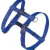 Rogz For Dogs Fanbelt Hondentuig Verstelbaar Blauw 75 X 2 Cm -ROGZ || Beeztees || Hill's Winkel image 522