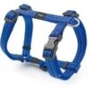 Rogz For Dogs Snake Hondentuig Verstelbaar Blauw 52 X 1,6 Cm 1 Rogz For Dogs Snake Hondentuig Verstelbaar Blauw 52 X 1,6 Cm -ROGZ || Beeztees || Hill's Winkel image 525