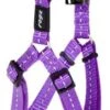 Rogz For Dogs Nitelife Step-in Hondentuig Verstelbaar Paars 38 X 1,1 Cm -ROGZ || Beeztees || Hill's Winkel image 529