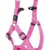 Rogz For Dogs Snake Step-in Hondentuig Verstelbaar Roze 61 X 1,6 Cm -ROGZ || Beeztees || Hill's Winkel image 533
