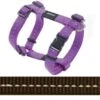 Rogz For Dogs Nitelife Hondentuig Verstelbaar Bruin 36 X 1,1 Cm -ROGZ || Beeztees || Hill's Winkel image 534