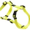 Rogz For Dogs Utility Fanbelt Hondentuig Verstelbaar 75 X 2 Cm Geel -ROGZ || Beeztees || Hill's Winkel image 535