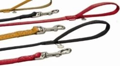 Beeztees Hondenriem Mac Leather 120cm X 15mm Rood -ROGZ || Beeztees || Hill's Winkel image 550