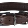 Trixie Halsband Voor Hond Active Comfort Leer Bruin 27-32x2,5 Cm -ROGZ || Beeztees || Hill's Winkel image 555