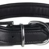 Trixie Halsband Voor Hond Active Comfort Leer Zwart 27-32x2,5 Cm 2 Trixie Halsband Voor Hond Active Comfort Leer Zwart 27-32x2,5 Cm -ROGZ || Beeztees || Hill's Winkel image 556