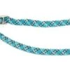 MARTIN SELLIER Halsband Voor Semi Choker Voor Hond Reflecterend Blauw 13 Mm-65 Cm -ROGZ || Beeztees || Hill's Winkel image 566