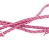 MARTIN SELLIER Looplijn Voor Hond Multi Purpose Nylon Reflecterend Roze 13 Mmx200 Cm -ROGZ || Beeztees || Hill's Winkel image 571