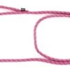 MARTIN SELLIER Looplijn Voor Hond Longe Nylon Reflecterend Roze 13 Mmx200 Cm -ROGZ || Beeztees || Hill's Winkel image 576