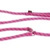 MARTIN SELLIER Retrieverlijn Voor Hond Nylon Reflecterend Roze 13 Mmx180 Cm -ROGZ || Beeztees || Hill's Winkel image 580