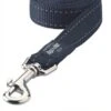 Rogz For Dogs Fanbelt Long Lijn Blauw -ROGZ || Beeztees || Hill's Winkel image 585