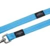 Rogz For Dogs Fanbelt Lijn Turquoise -ROGZ || Beeztees || Hill's Winkel image 589