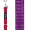 Rogz For Dogs Fanbelt Multipurpose Lijn Paars -ROGZ || Beeztees || Hill's Winkel image 596