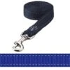 Rogz For Dogs Fanbelt Lijn Blauw -ROGZ || Beeztees || Hill's Winkel image 600