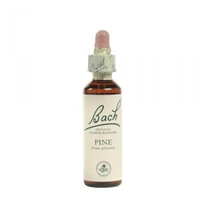 Bach Heather (Struikheide) - 20 Ml