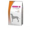 Eukanuba Renal - Veterinary Diets - Hond - 12 Kg -ROGZ || Beeztees || Hill's Winkel informatie over eukanuba renal dog 12 kg bestellen medpets nl 3 1358858485 1974
