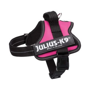 Julius K9 Power-harnas Voor Hond / Tuig Voor Voor Labels Fuchsia Maat 0/58-76 Cm 4 Julius K9 Power-harnas Voor Hond / Tuig Voor Voor Labels Fuchsia Maat 0/58-76 Cm - Afbeelding 2