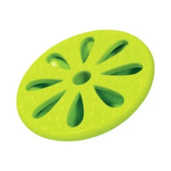 KONG Quest Forages - Flower