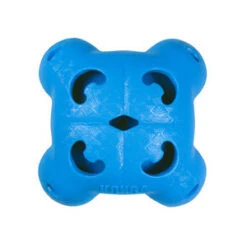 KONG Quest Forages - Quad