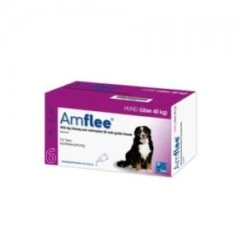 Amflee Spot-on Hond - 402 Mg - 6 Pipetten -ROGZ || Beeztees || Hill's Winkel product amflee spot on hond 402 mg 6 pipetten none 3 1458898721 27631