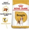 Royal Canin Adult Beagle Hondenvoer 12 Kg -ROGZ || Beeztees || Hill's Winkel royal canin beagle adult hondenvoer