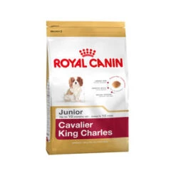 Royal Canin Junior Cavalier King Charles Hondenvoer 1.5 Kg
