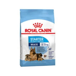 Royal Canin Maxi Starter Mother And Babydog 4 Kg 7 Royal Canin Maxi Starter Mother And Babydog 4 Kg -ROGZ || Beeztees || Hill's Winkel royal canin maxi starter mother babydog 4 kg 67811 0300 none