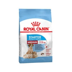 Royal Canin Medium Starter Mother And Babydog 4 Kg -ROGZ || Beeztees || Hill's Winkel royal canin medium starter mother babydog 4 kg 67841 0300 none