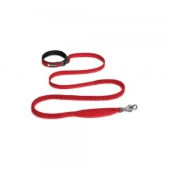 Ruffwear Roamer Leash - Red Currant - M
