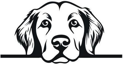 ROGZ || Beeztees || Hill's Winkel